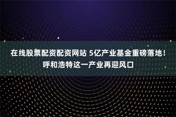 在线股票配资配资网站 5亿产业基金重磅落地！呼和浩特这一产业再迎风口