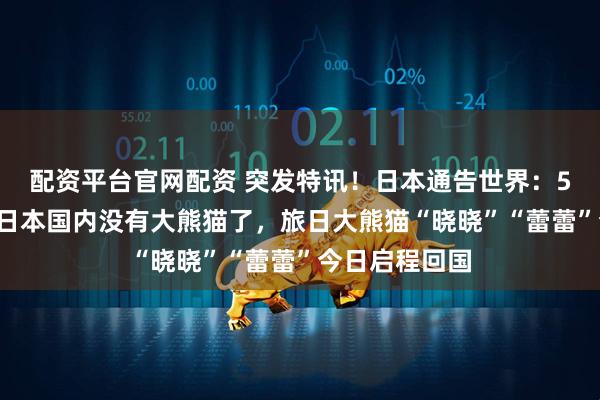 配资平台官网配资 突发特讯！日本通告世界：54年来首次，日本国内没有大熊猫了，旅日大熊猫“晓晓”“蕾蕾”今日启程回国